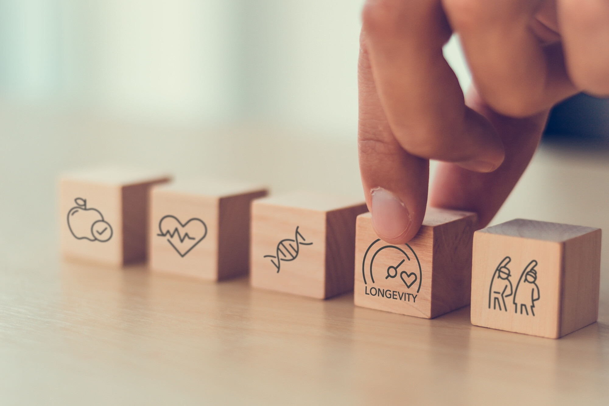 Gesund altern - Systemstabilität und Blutwerte