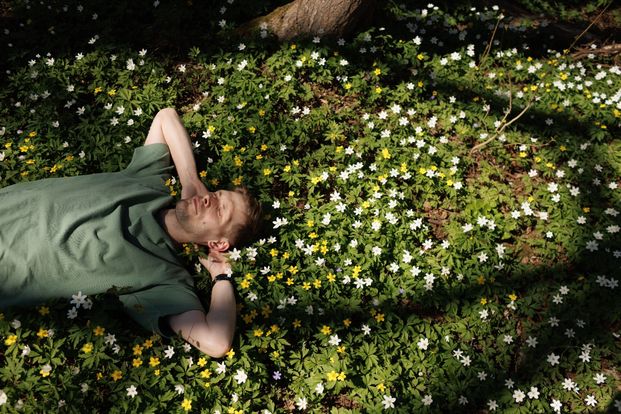 Vitamin D nach dem Winter: Warum der Frühling entscheidend für Deinen Spiegel ist